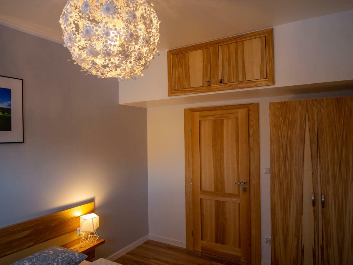 Apartament Przy Deptaku 维斯拉 外观 照片