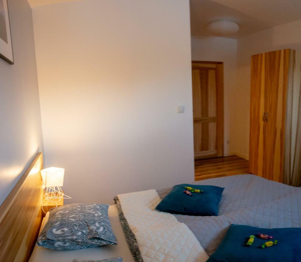 Apartament Przy Deptaku 维斯拉 外观 照片